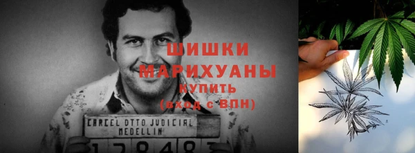 spice Вяземский