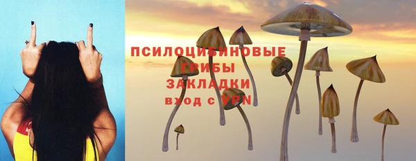 спиды Вязьма