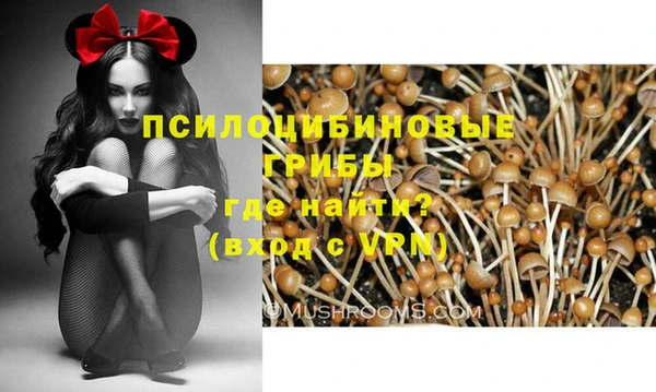 spice Вяземский