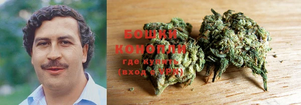 spice Вяземский