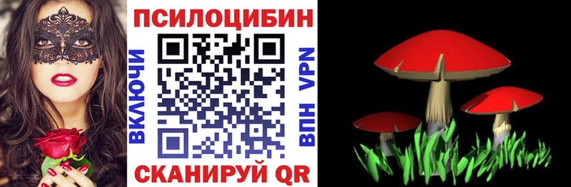 Галлюциногенные грибы мухоморы  Михайлов 